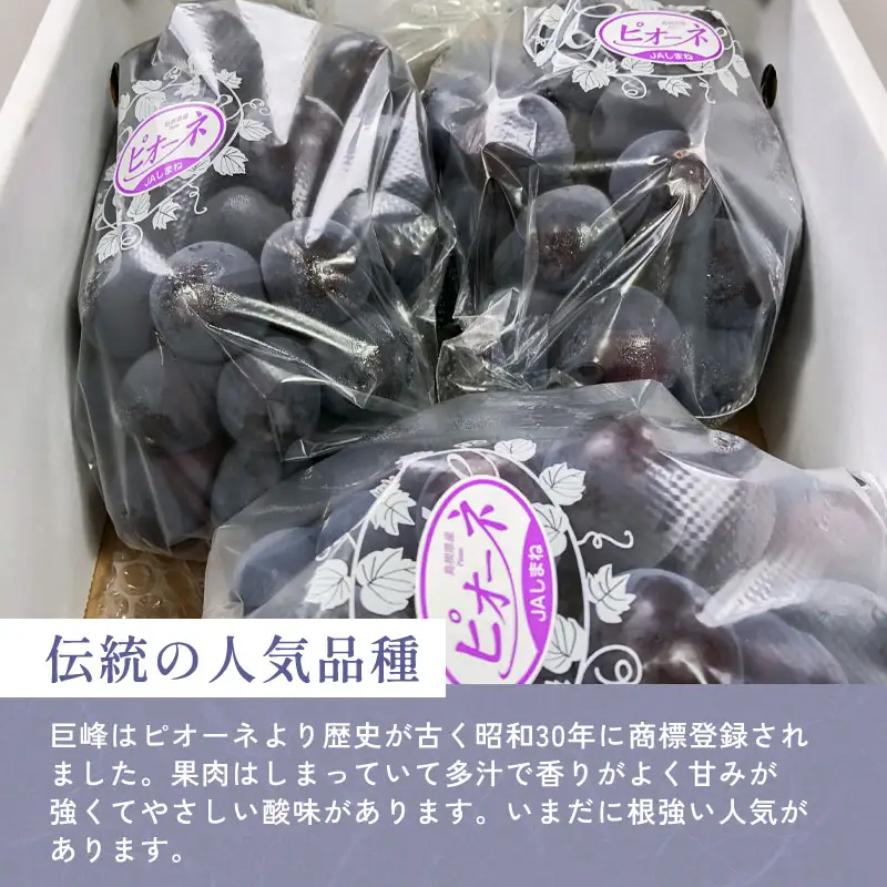 B-700 黒い宝石「種なしピオーネ」2kg