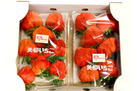 A-536 美都いちご（350g×2パック）