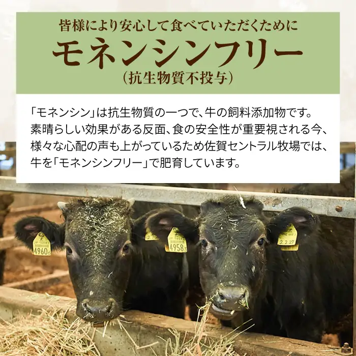 【6回定期便】佐賀牛ステーキの贅沢セット/ ステーキ [IAH081]