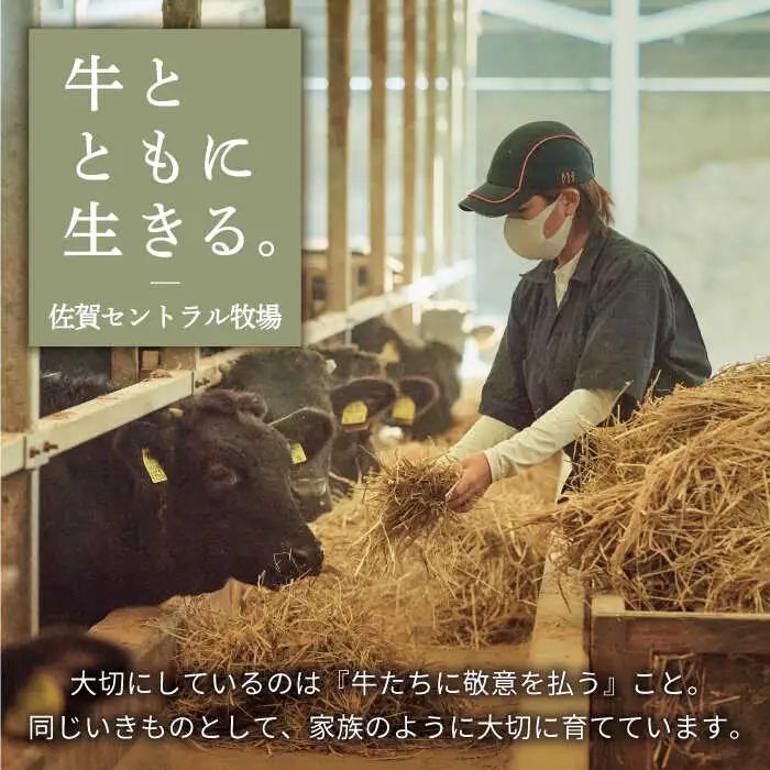 【3回定期便】佐賀牛 すきやき・しゃぶしゃぶ用スライス 500g（ロース・モモ・バラ） / 牛肉スライス [IAH097]