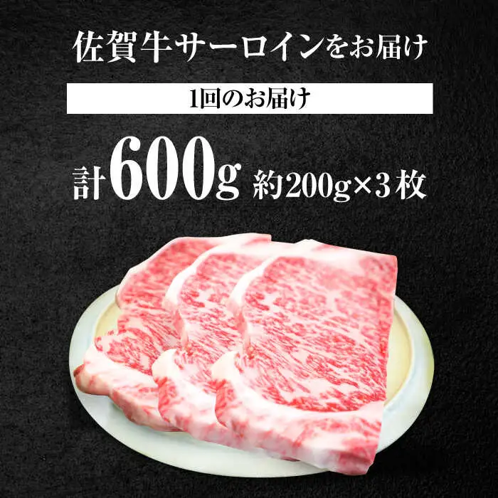 【10回定期便】佐賀牛 サーロインステーキ 600g / ステーキ  [IAH166]