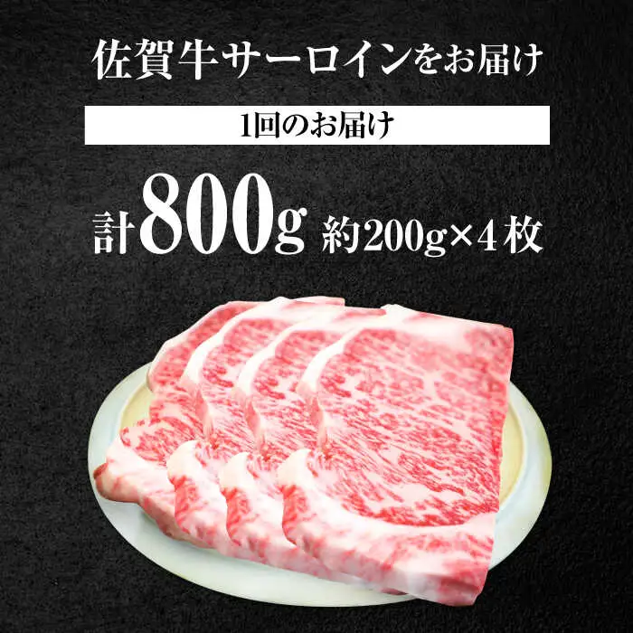 【5回定期便】佐賀牛 サーロインステーキ 800g / ステーキ  [IAH167]