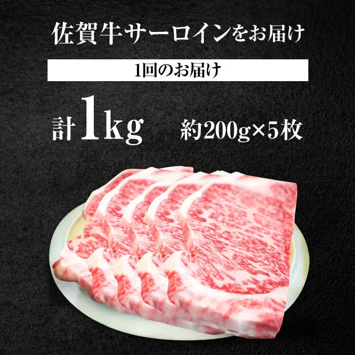 【5回定期便】佐賀牛 サーロインステーキ 1kg  / ステーキ  [IAH169]