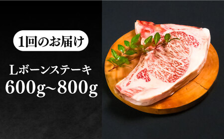 【全3回定期便】極上 壱岐牛 A5ランク Lボーンステーキ 約600~800g（雌）30日間熟成《壱岐市》【KRAZY MEAT】[JER018] ステーキ ヒレ 赤身 Tボーン 牛肉 骨つき肉 サーロイン 201000 201000円 冷凍配送 九州