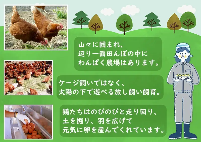 A04-751　太陽の下放し飼いわんぱく卵「10個入×3パック」
