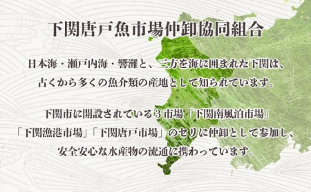 のどぐろ 中サイズ 4尾 冷凍 のどぐろ EY