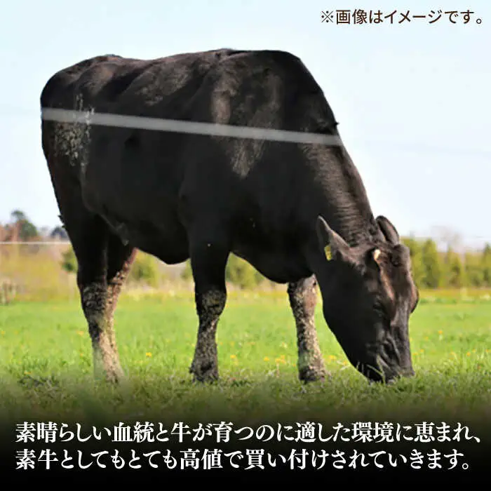 極上 壱岐牛 A5ランク ローストビーフ 200g×4個（雌）[JER008]