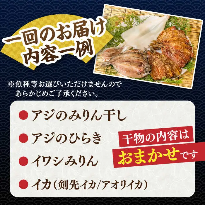 【全6回定期便】 旬の干物 おまかせ詰め合わせ《梅》（アジ・イワシ・イカなど）[JDR010]