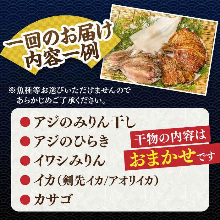 【全3回定期便】旬の干物 おまかせ詰め合わせ《竹》（アジ・イカ・カサゴなど）[JDR012]