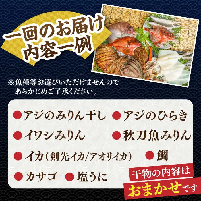 【全12回定期便】旬の干物 おまかせ詰め合わせ《松》（カマス・アカハタ・鯛など）[JDR017]