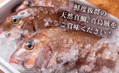 【全3回定期便】島茶漬け（天然鯛・烏賊／4人前ギフトセット）[JAI010] 48000 48000円 冷凍配送 九州