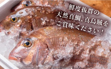 【全12回定期便】島茶漬け（天然鯛・烏賊／4人前ギフトセット）[JAI012] 192000 192000円 冷凍配送 九州
