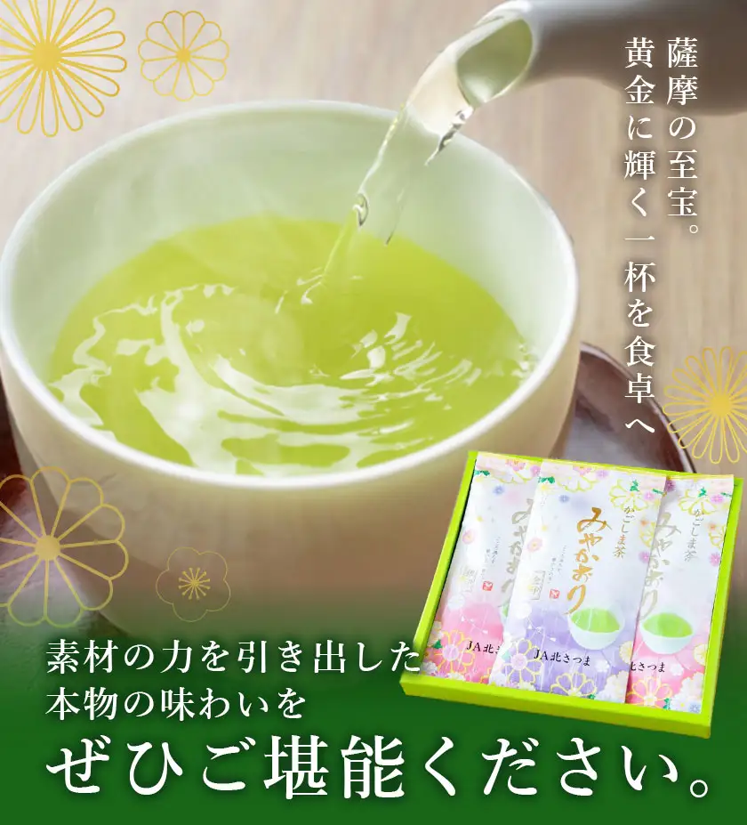 お茶 緑茶 みやかおり 100g×3袋 北さつま農協 《30日以内に出荷予定(土日祝除く)》