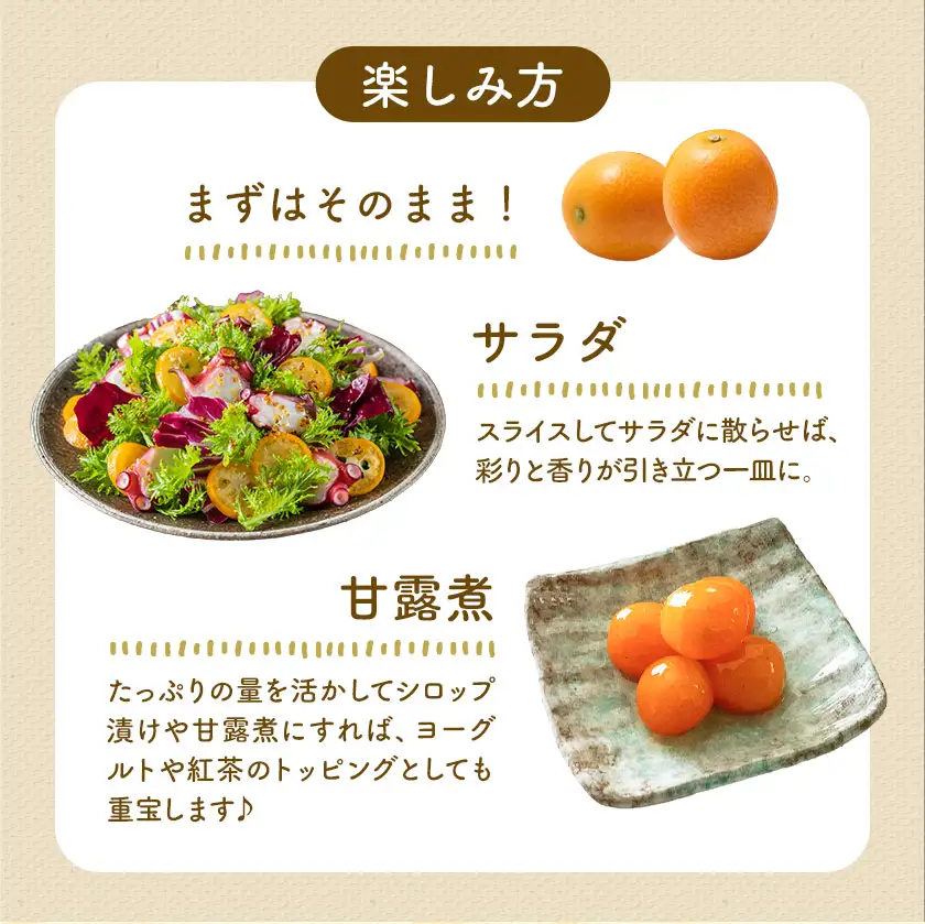 フルーツきんかん 2kg 北さつま農協《1月上旬-2月中旬頃出荷》