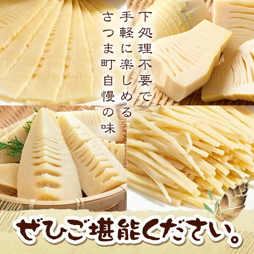 たけのこ水煮セット トライカット ブロック スライス 細切り 穂付こさんホール こさんスライス 北さつま農協《30日以内に出荷予定(土日祝除く)》