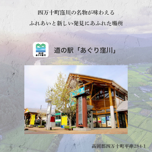 もっちもち皮にファン急増中！にら饅頭セット (計16個) ／Qak-A27 まんじゅう 国産 特産品