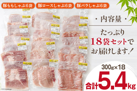 豚肉 豚しゃぶ ロース バラ モモ 食べ比べ セット 3種 各300g×6 合計5.4kg