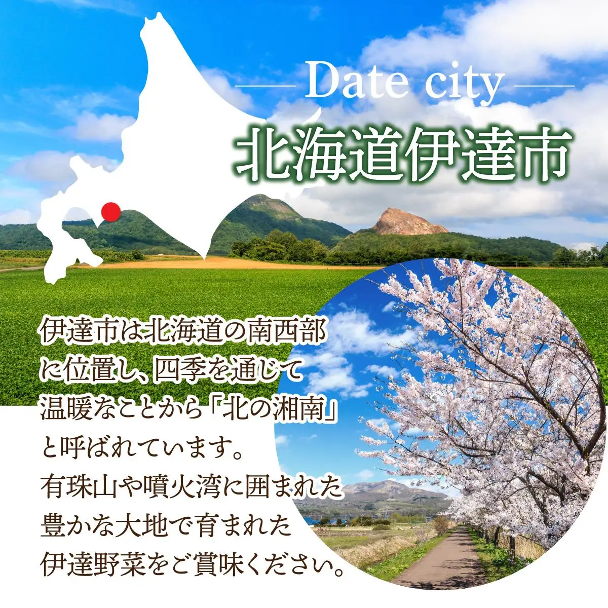 【2026年発送】 先行予約 新鮮採れたて！旬の伊達野菜セット（6～8種）【オンライン決済限定】55250703