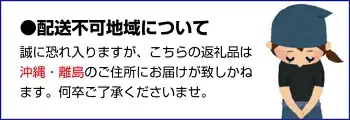 【梅干・梅酒用】（2LまたはL－10Kg）熟南高梅＜2027年6月上旬～7月7日発送予定＞【ART03】 /  梅 梅干し ウメ 青梅 生梅 梅シロップ フルーツ 果物 くだもの 食品 人気 おすすめ 送料無料【art011C】