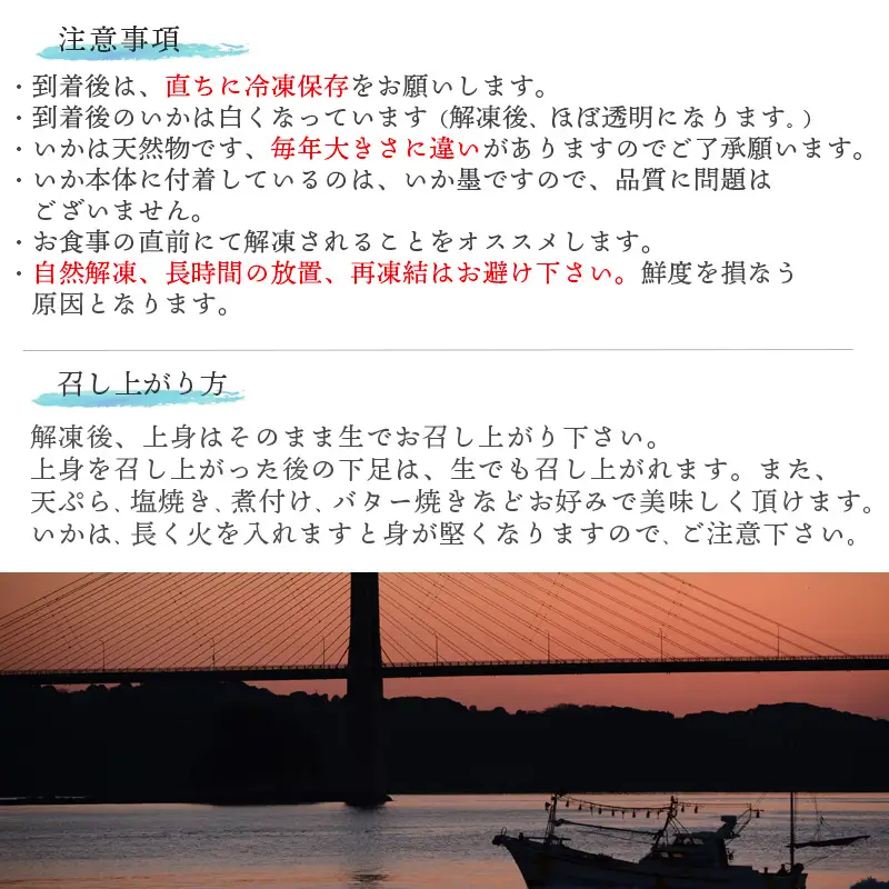 呼子のいか活造り1杯(360g前後) 特大サイズ コリコリ甘い鮮度抜群の透明感!
