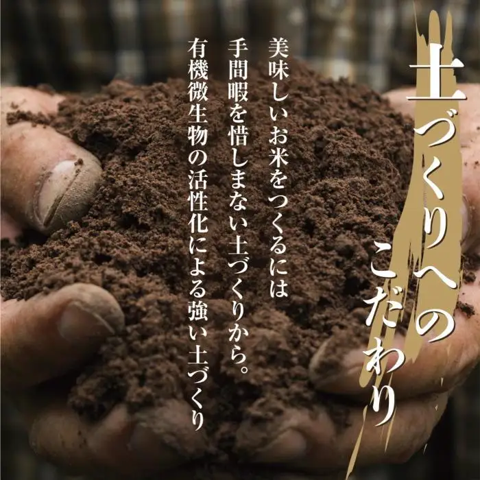 【令和8年産　新米予約】「無地のし」  新潟県 南魚沼産 コシヒカリ お米 5kg×2袋 計10kg 精米済み（お米の美味しい炊き方ガイド付き） お米 こめ 白米 こしひかり 食品 人気 おすすめ 送料無料 魚沼 南魚沼 南魚沼市 新潟県産 新潟県 精米 産直 産地直送 お取り寄せ【2026年10月中旬より1ヶ月以内に順次発送予定】