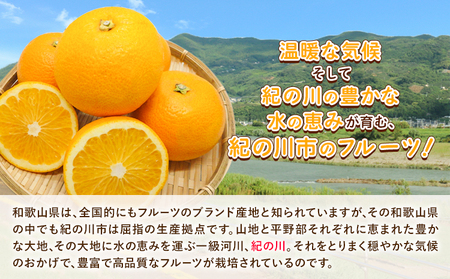 和歌山産 手剥き八朔缶詰 (450g×8缶入り)  紀の川市厳選館 