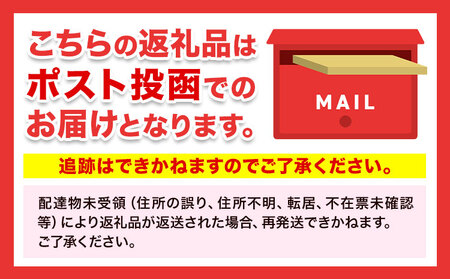 神の食べ物 カカオニブS 100g 石挽カカオissai st-p