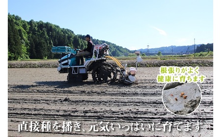 令和7年産 農家直送！ 魚沼産 コシヒカリ 無洗米 4kg (スタンドパック 2kg × 2個 )（ 米 こしひかり お米 こめ コメ 魚沼産コシヒカリ 魚沼 新潟 おこめ 白米 精米 ） 新潟県 