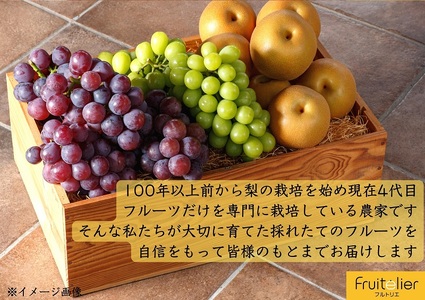【先行予約】※贈答用※【フルトリエ】シャインマスカット・ぶどう・梨の詰合せ☆100年続くフルーツ農家_フルーツ 贈答用 セット 詰め合せ シャインマスカット 450g以上1房 マスカット ぶどう 450g以上1房 梨 2?4玉 ギフト 贈り物 果物 食べ物 食品 朝採れ 冷蔵 送料無料 100年続くフルーツ農家 フルトリエ 中村果樹園 〔Fx011〕