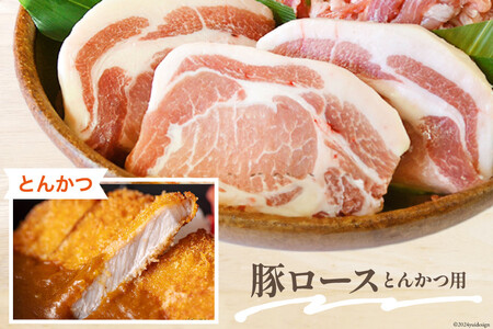 豚肉 小分け 切り落とし ロース 豚バラ スライス お料理セット 計5.4kg