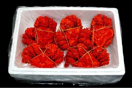 【北海道根室産】ボイル花咲かに4～7尾(計約2.4kg) C-42080