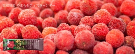 南国土佐のやまももアイスキャンデー 20本入 / スイーツ アイス アイスクリーム【久保田食品】 サイズ3 / スイーツ アイス アイスクリーム【グレイジア株式会社】[ATAC261]