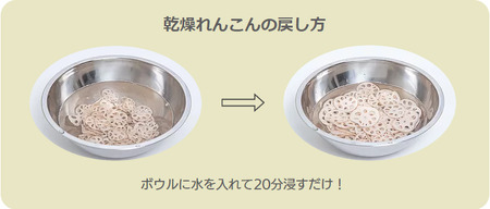  乾燥 レンコン & パウダー セット 熊本県産れんこん100%使用
