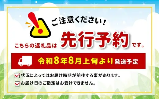 天龍村の旬の夏野菜（農産物）詰め合わせセット 令和8年 8月～9月配送予定
