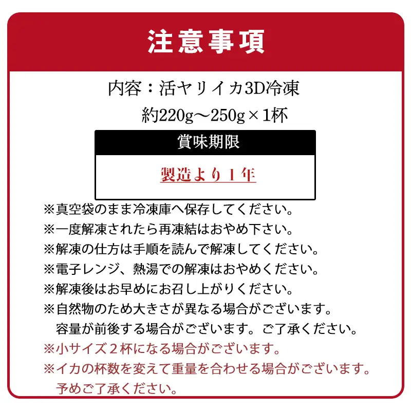 『先行予約』唐津呼子産いか活造り 1杯(約220g～250g) 急速冷凍 新鮮そのまま食卓へ！※水揚げあり次第7月以降順次発送させていただきます。