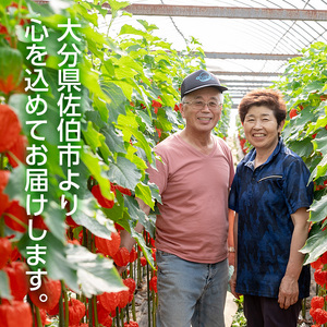 ＜先行予約受付中！お盆前頃に発送予定＞驚きの大きさ！ 宇目産ほおずき(5本・2L) 生花 お盆 仏花 鬼灯 お盆飾り お供え 盆 ホウズキ 盆 飾り 切花 切り花 大分県 佐伯市【BZ63】【清幸農園】