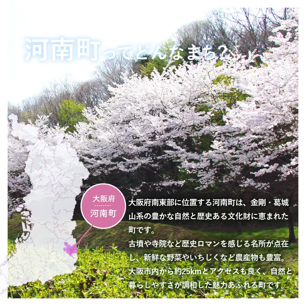 無添加おせちセット No.285