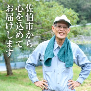 ＜先行予約受付中！2026年9月以降順次発送予定＞宇目葡萄 3種詰め合わせ(合計2kg・3-5房) 特産品 国産 ピオーネ 安芸クイーン ハニービーナス ぶどう 大分県 佐伯市【AY71】【さいき農林公社】