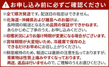 定期便 果物定期便A 4回発送 みかん 山見阪ネーブル デコポン 博多あまおう 定期発送 果物 くだもの フルーツ 柑橘 イチゴ 送料無料 【2026年12月～2027年3月発送】