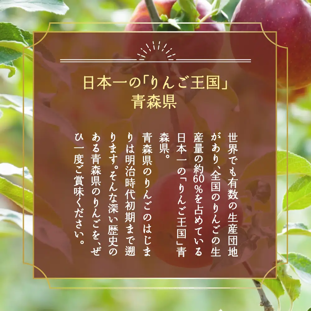 【2026年10月下旬発送】 【特選】りんご 5kg 紅玉 青森