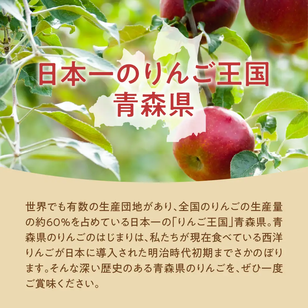 【2026年10月下旬発送】【訳あり】 りんご 10kg 紅玉 アップルパイ に最適 青森 不揃い