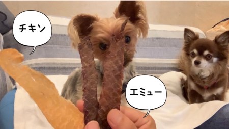 FB111_犬の無添加おやつ☆エミュージャーキー＆チキンジャーキーお試し各1個