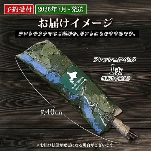 フレッシュ 白樺 ヴィヒタ 1束 北海道 白樺 ヴィヒタ アロマ ウィスク インテリア サウナグッズ サウナ テントサウナ 北海道 弟子屈町 10000円 2026年 7月以降順次発送 1510