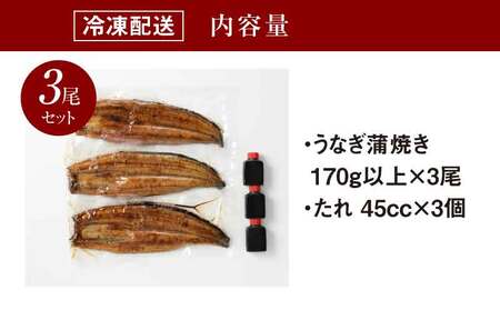 宮崎県産 うなぎ 蒲焼き 3尾セット K10_0009_3 