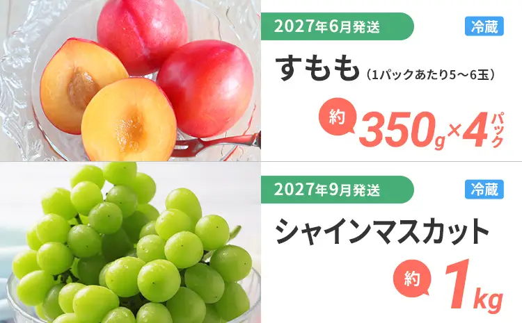 定期便 果物定期便C 6回発送 みかん デコポン 博多あまおう 冷凍あまおう すもも シャインマスカット 定期発送 果物 くだもの フルーツ 柑橘 イチゴ 送料無料 【2026年12月～2027年9月まで計6回お届け】