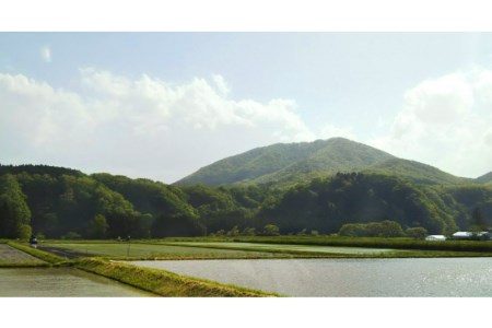 ＜季節の花とミツバチからの贈り物＞非加熱はちみつ300g 数量限定 はちみつ / 畑山養蜂 / 宮城県 加美町 44580505