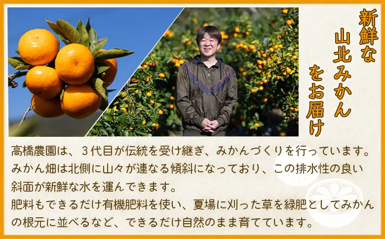 みかん 約3kg 小玉 みかん th-0028