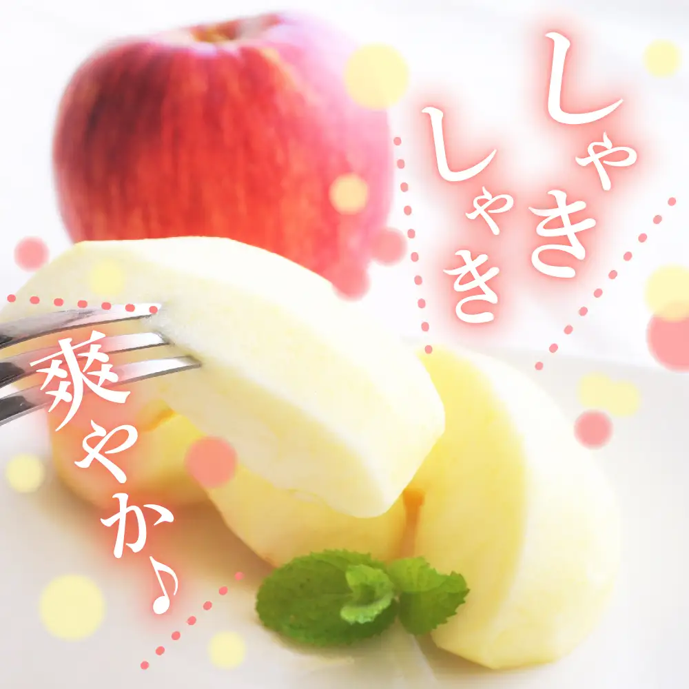 【2026年11月中旬発送】【訳あり】 りんご 約5kg サンふじ 青森 家庭用 りんご