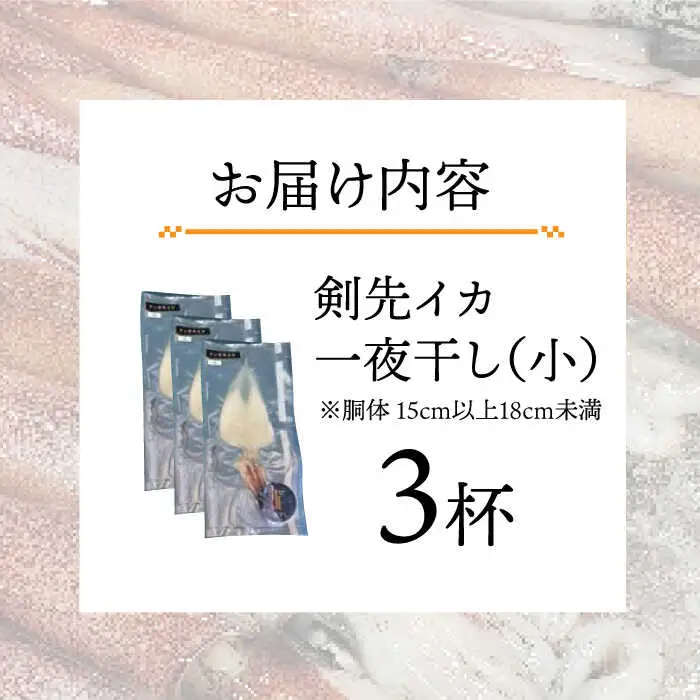 剣先イカ 一夜干 （小） 3杯 《壱岐市》【株式会社マルショウ】 いか  剣先いか セット おつまみ 一夜干し [JEW005] 14000 14000円 のし ギフト