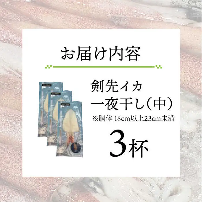 剣先イカ 一夜干 （中） 3杯 《壱岐市》【株式会社マルショウ】 いか 剣先いか セット おつまみ 一夜干し [JEW006] 17000 17000円 のし ギフト